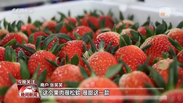 
辽宁省中医医院黄牛号贩子票贩子代网上预约代挂号电话销量翻倍、订单排满 节前消费市场活力十足