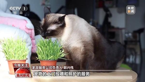 
辽宁省中医医院黄牛号贩子票贩子代网上预约代挂号电话销量翻倍、订单排满 节前消费市场活力十足