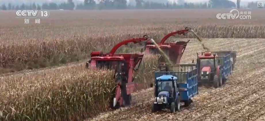 
上海交通大学医学院附属新华医院崔心刚曲发军黄云腾华丽房定珠马杰周莹吕凡王奕黄牛挂号电话向“好”向“新”向“绿”，新突破！多领域捷报频传 经济发展“新”动力更足