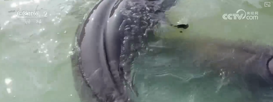 
上海交通大学医学院附属新华医院崔心刚曲发军黄云腾华丽房定珠马杰周莹吕凡王奕黄牛挂号电话向“好”向“新”向“绿”，新突破！多领域捷报频传 经济发展“新”动力更足