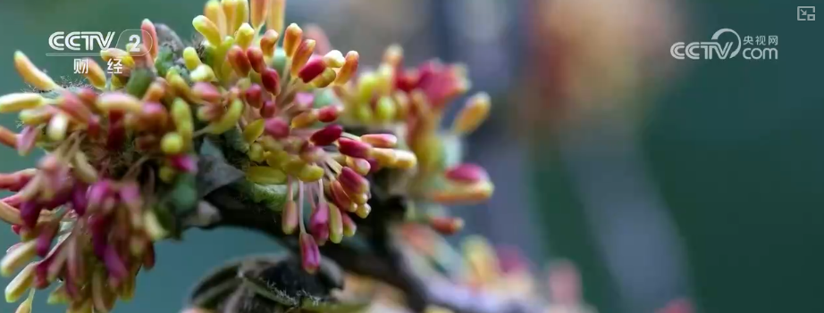 
上海交通大学医学院附属新华医院崔心刚曲发军黄云腾华丽房定珠马杰周莹吕凡王奕黄牛挂号电话向“好”向“新”向“绿”，新突破！多领域捷报频传 经济发展“新”动力更足