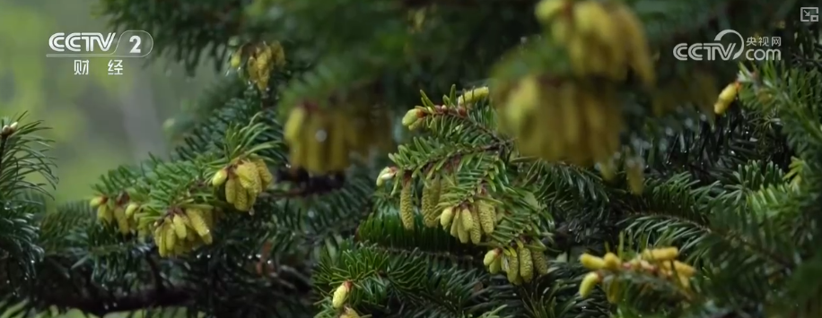 
上海交通大学医学院附属新华医院崔心刚曲发军黄云腾华丽房定珠马杰周莹吕凡王奕黄牛挂号电话向“好”向“新”向“绿”，新突破！多领域捷报频传 经济发展“新”动力更足