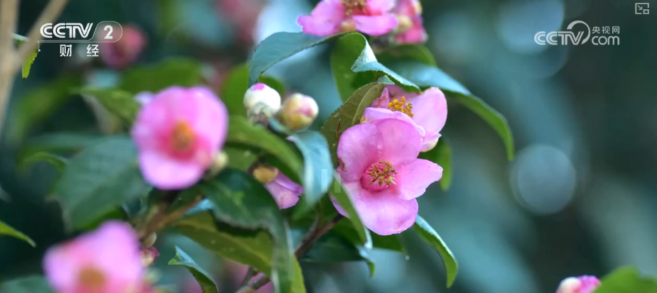 
上海交通大学医学院附属新华医院崔心刚曲发军黄云腾华丽房定珠马杰周莹吕凡王奕黄牛挂号电话向“好”向“新”向“绿”，新突破！多领域捷报频传 经济发展“新”动力更足