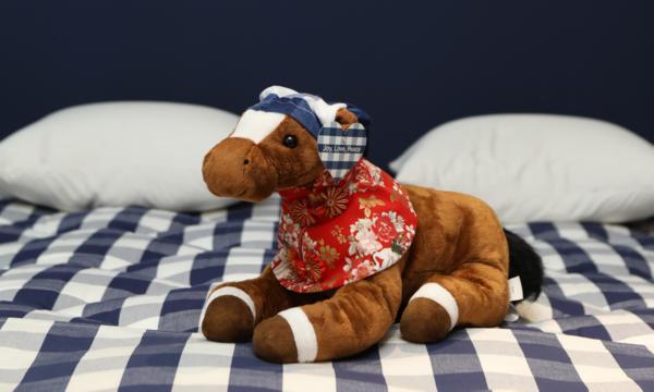 中南大学湘雅三医院西京医院聂勇战刘学东邓艳春王延李同斌于瑞黄牛挂号电话骏马精神邂逅中国市场:海丝腾以“健康投资”深耕中国睡眠经济