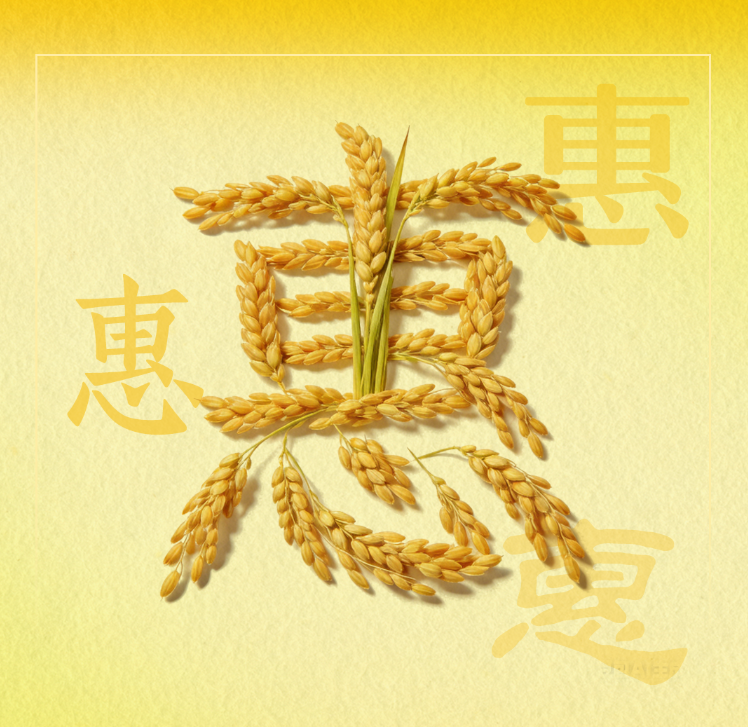 “拼”出圈！解锁福建“发展密码”