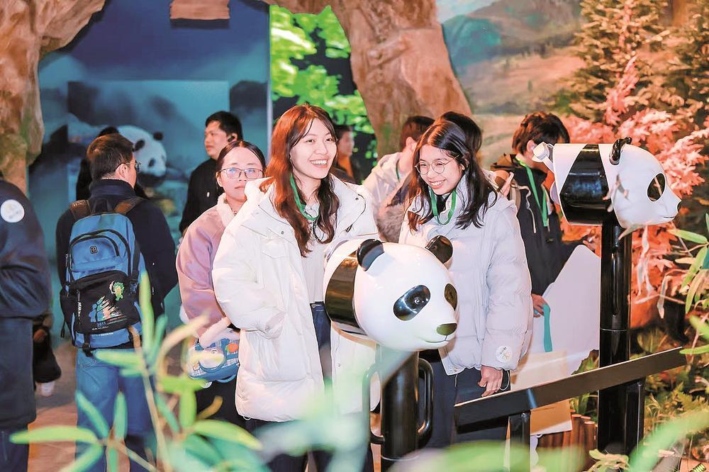 榕台青年观熊猫话融合：熊猫是联结两岸的友好使者