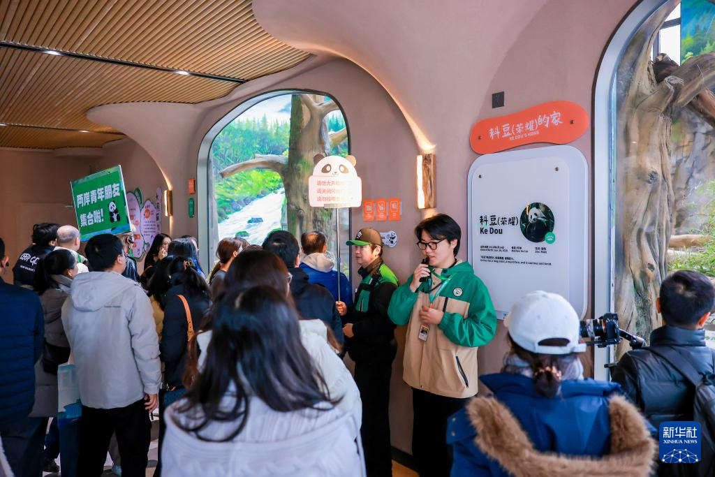 台湾青年探访福州熊猫世界 聆听两岸交流故事