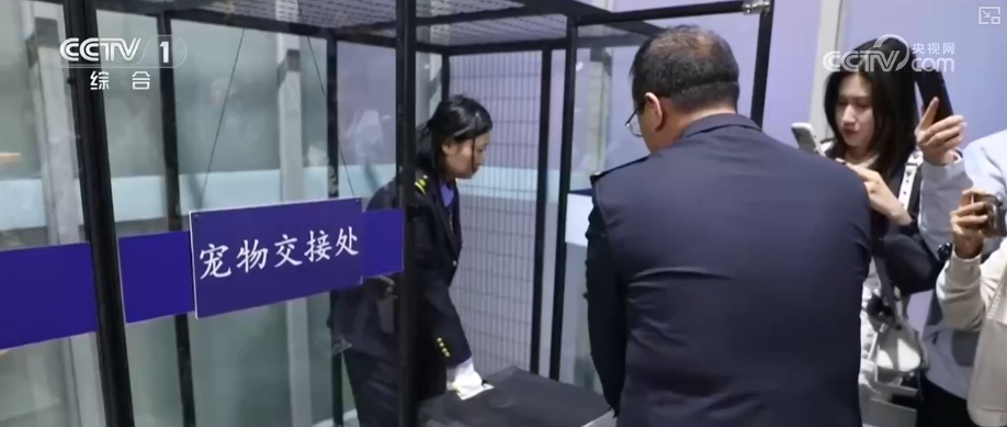 
上海第六人民医院黄牛号贩子票贩子代网上预约代挂号电话春运在即多部门出台便民措施加强服务 保障百姓更好便捷出行