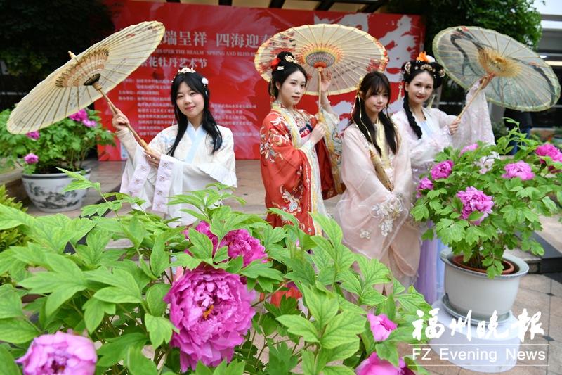 水仙、永春金豆、兰花、百合……逛新春花市赏八闽花韵