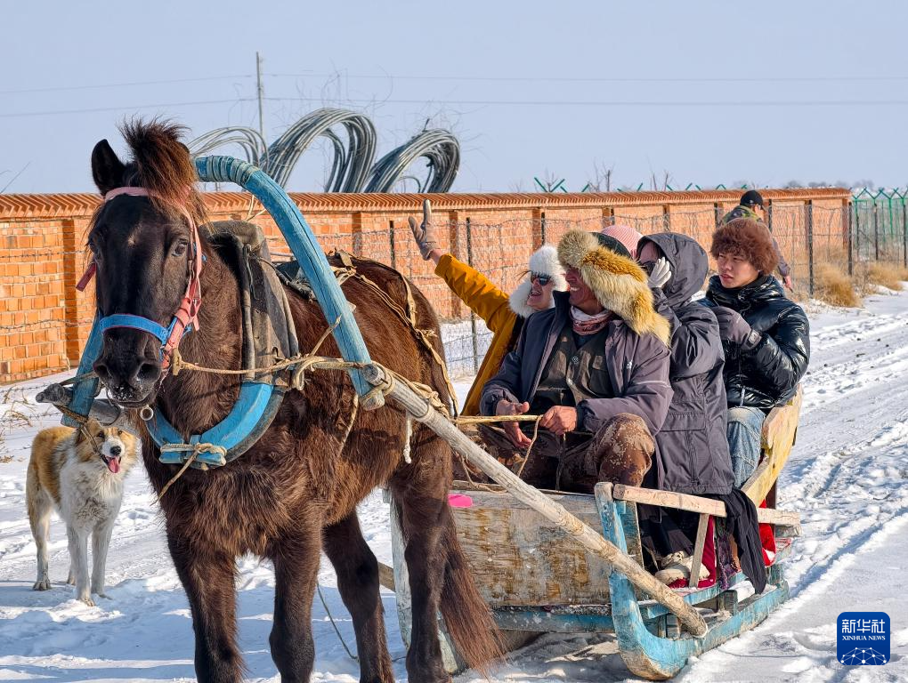雪域同心·青春融情——记台青冬令营新疆之旅