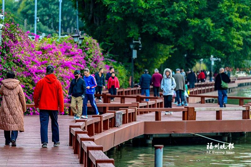 福州西湖环湖木栈道焕新 4个节段修缮基本完工