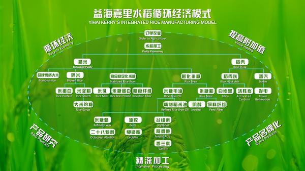 
广州医科大学附属脑科医院黄牛号贩子票贩子代网上预约代挂号电话人民日报头版点赞金龙鱼：年超3000万次检测，用数据践行食安承诺