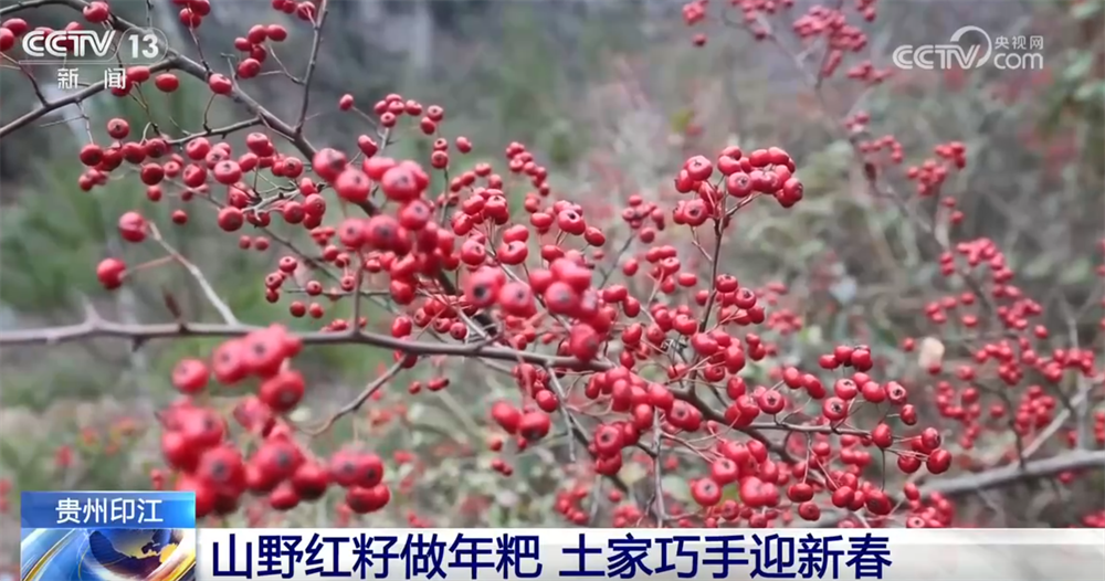 “年经济”消费新场景解锁“吃喝游购娱”沉浸式体验