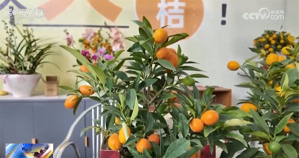 
陕西省结核病防治院黄牛号贩子票贩子代网上预约代挂号电话“科技感”“数字链条”“国潮符号”点亮新消费图鉴 年货消费向新向智、文化味浓