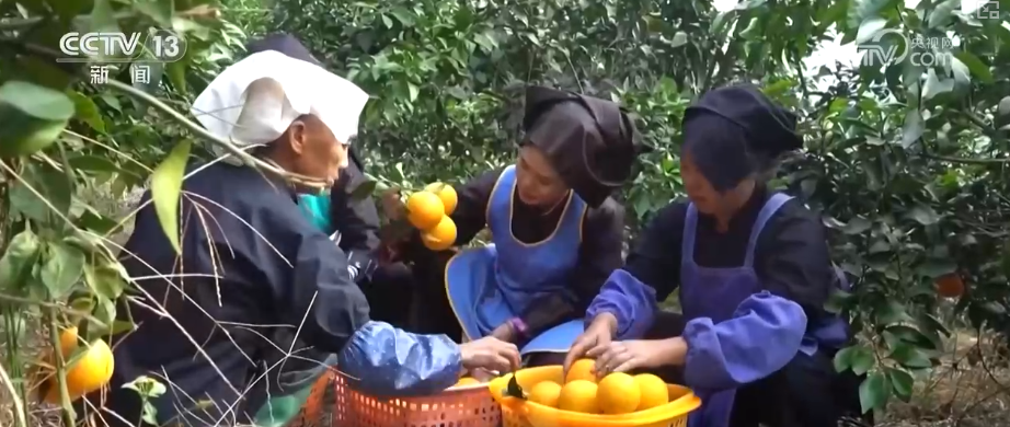 
西安交大二附院黄牛号贩子票贩子代网上预约代挂号电话人气“旺起来”市场“热起来” 年货市场供需两旺热热闹闹迎新春