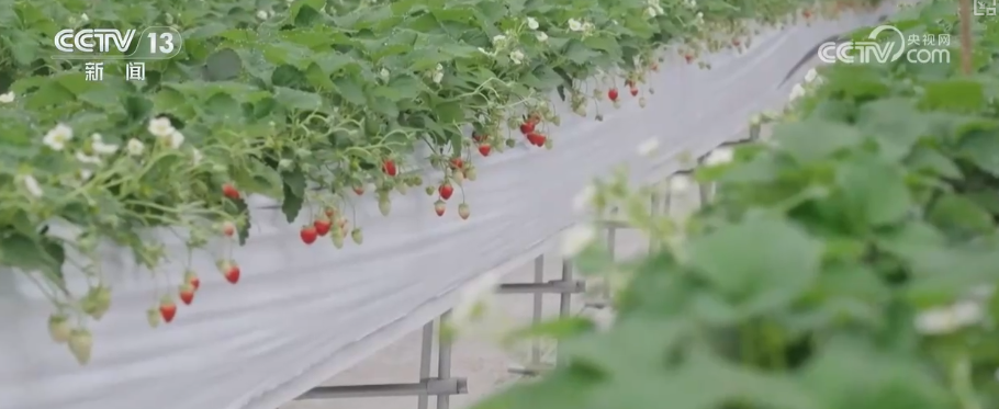 
天津儿童医院黄牛号贩子票贩子代网上预约代挂号电话科技改造赋能筑牢电力保供屏障 多举措护航百姓生产生活