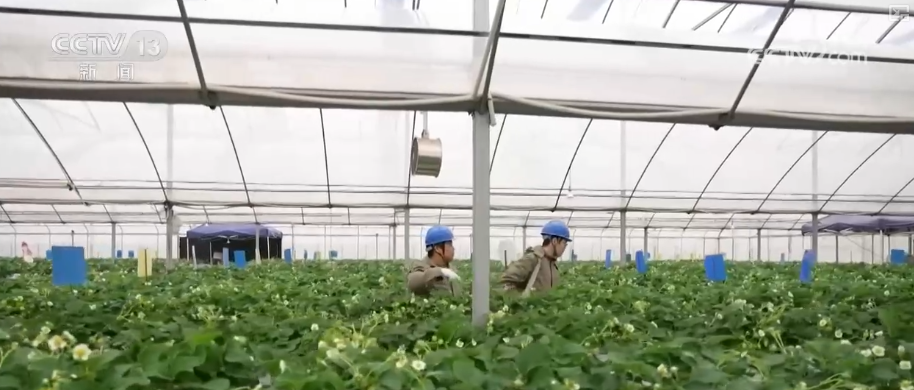 
天津儿童医院黄牛号贩子票贩子代网上预约代挂号电话科技改造赋能筑牢电力保供屏障 多举措护航百姓生产生活