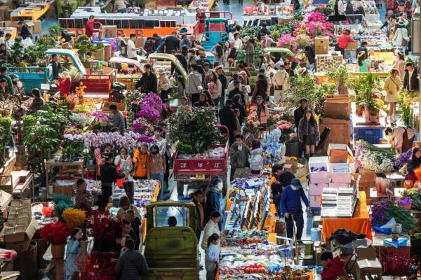 
东直门医院黄牛号贩子票贩子代网上预约代挂号电话平稳开局！开年首月社会融资规模增量达7.22万亿元