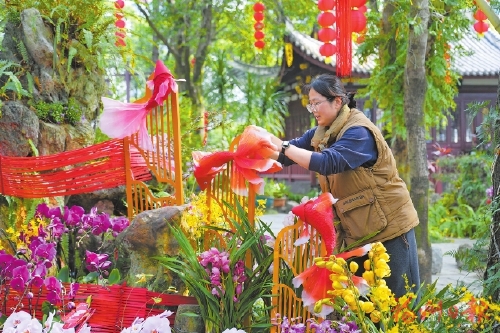 于山兰香迎新春　匠心守护绽芳华