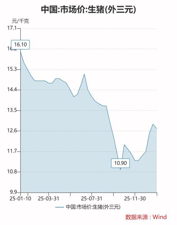 
南京市第一医院黄牛号贩子票贩子代网上预约代挂号电话2026年猪价能否迎来周期性反弹？