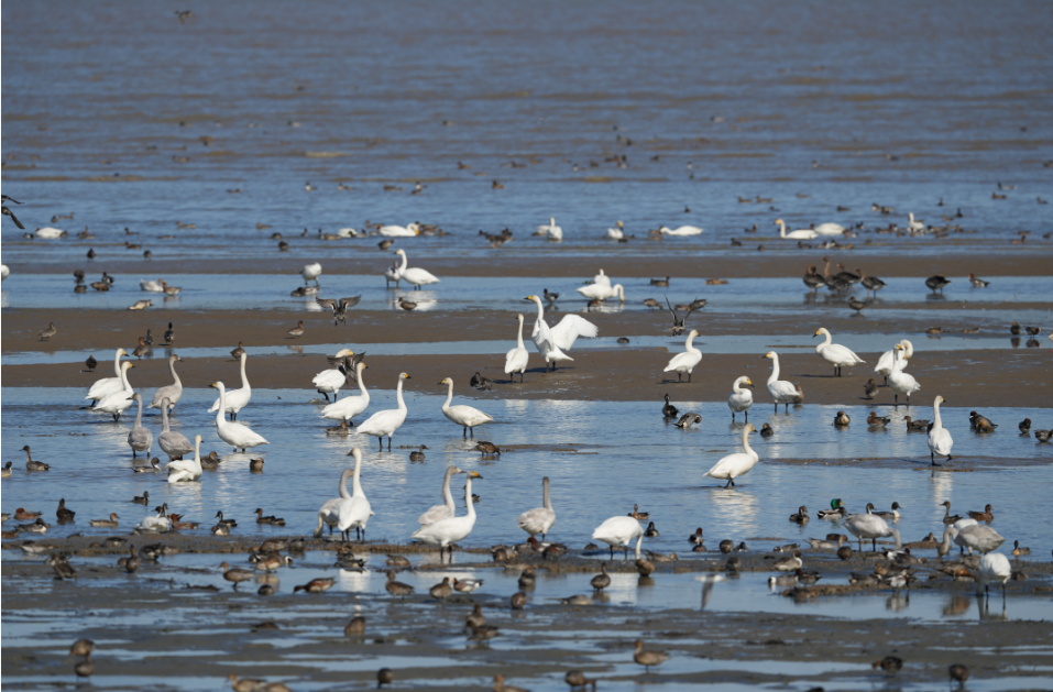 有福之州：人间有味是福年