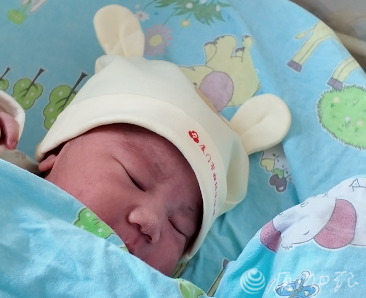 大年初一，福建&ldquo;马宝宝&rdquo;陆续报到！有人小名就叫&ldquo;初一&rdquo;