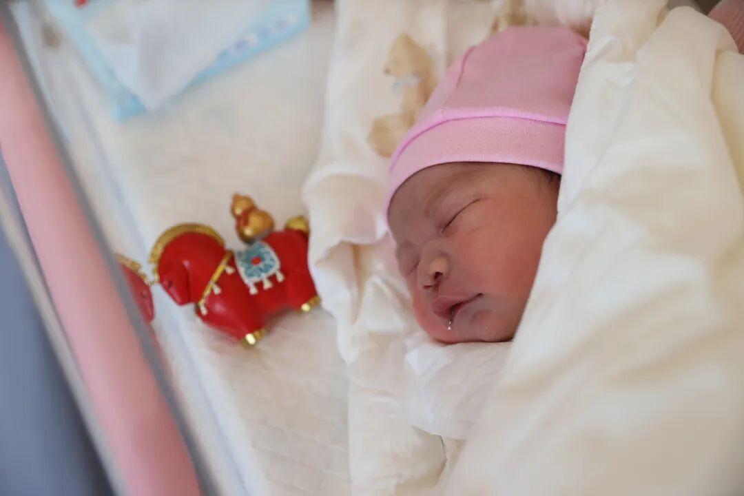 大年初一，福建&ldquo;马宝宝&rdquo;陆续报到！有人小名就叫&ldquo;初一&rdquo;