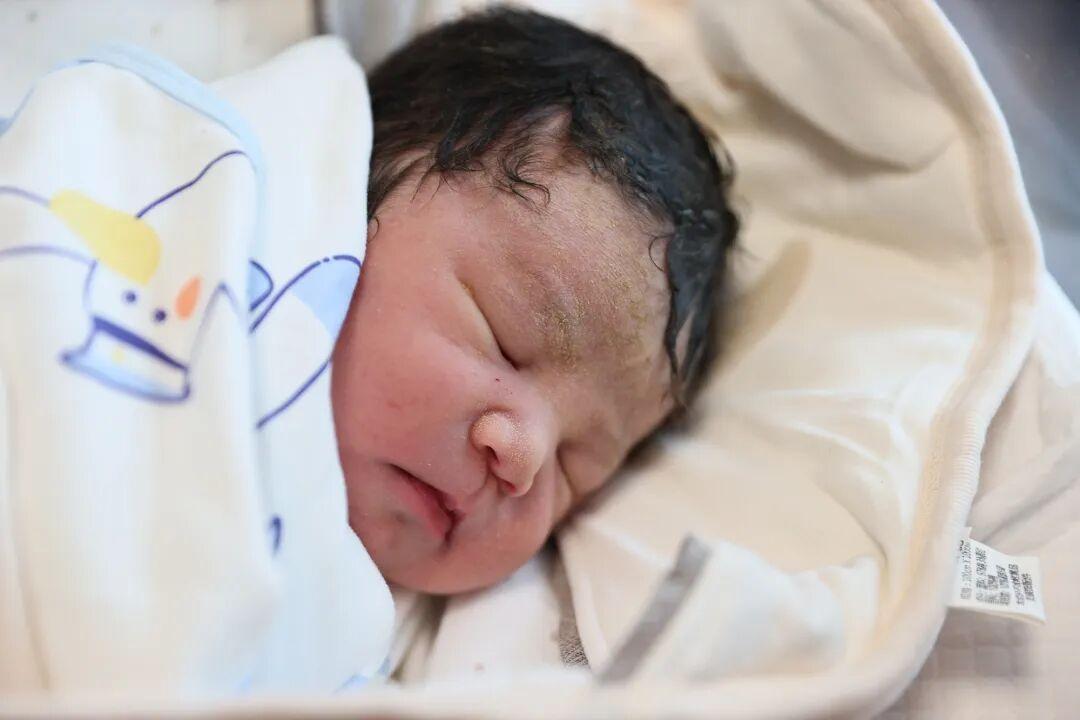 大年初一，福建&ldquo;马宝宝&rdquo;陆续报到！有人小名就叫&ldquo;初一&rdquo;