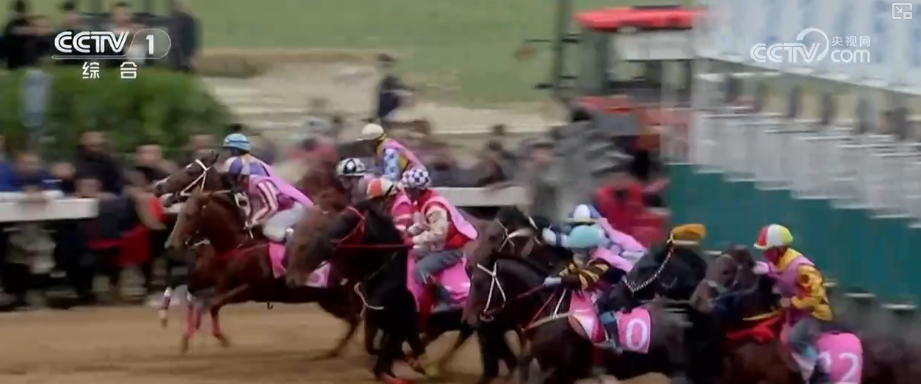 上海市第六人民医院张长青韩培贾伟涛黄牛挂号电话马年新春骏马奔腾启新程 传统马术越千年古老技艺焕发崭新光彩