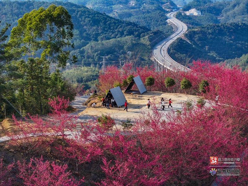 文旅融合年味浓 永泰新春“热”力足