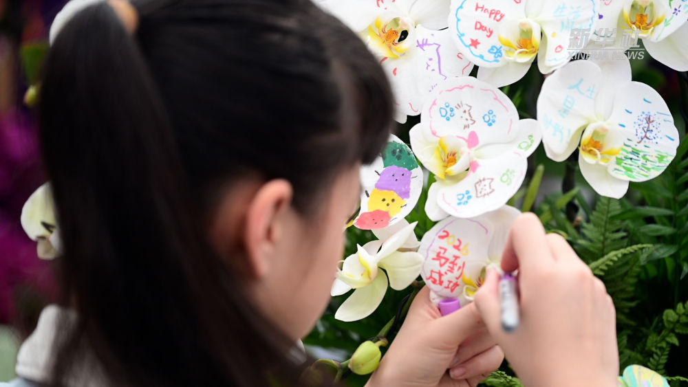 
上海复旦大学肿瘤医院黄牛号贩子票贩子代网上预约代挂号电话新春走基层｜年宵花开，日子更红火