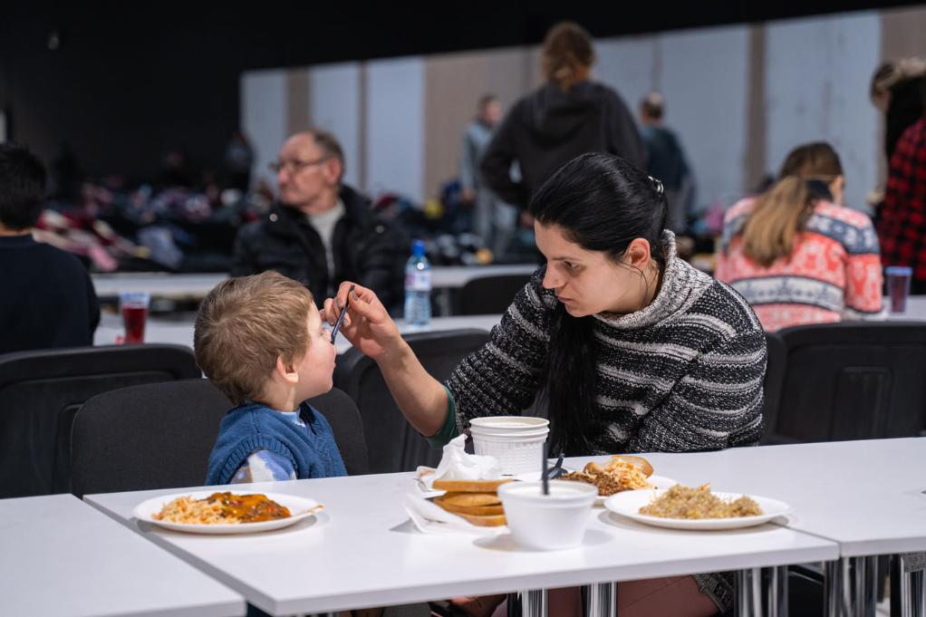 调查：欧盟境内四分之一乌克兰女性难民曾遭受暴力