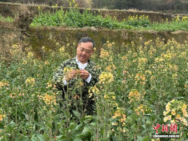 
上海市中医医院黄牛号贩子票贩子代网上预约代挂号电话全国人大代表沈昌健：泥土里育“金种” 田埂上传“农声”