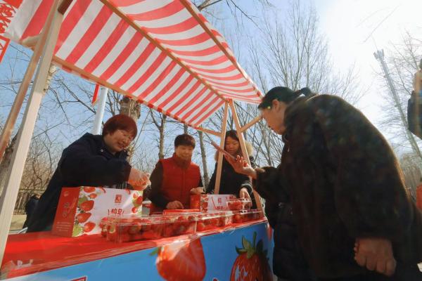 
中国中医科学院西苑医院洪霞刘红梅郭德海张翠珍黄牛挂号电话北京大兴榆垡镇2026新春民俗巡演为乡村振兴注入文化动能