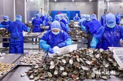 
中国医学科学院苏凯邱斌刘文胜刘杰黄牛挂号电话赶订单忙生产 连江企业冲刺