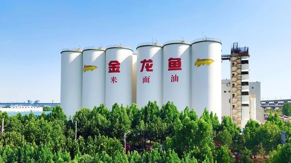 
四川大学华西医院黄牛号贩子票贩子代网上预约代挂号电话金龙鱼2025年实现营收2,451亿元，严苛品控获人民日报点赞