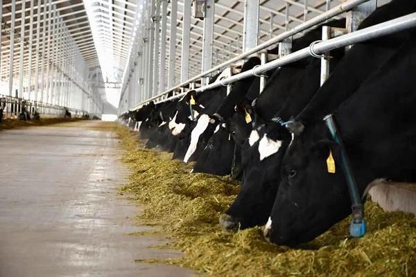 重庆各大医院各科室刘权兴戴纪刚黄牛挂号电话蒙牛两会献策:以科技创新铸强产业链韧性,助力“十五五”高质量开局