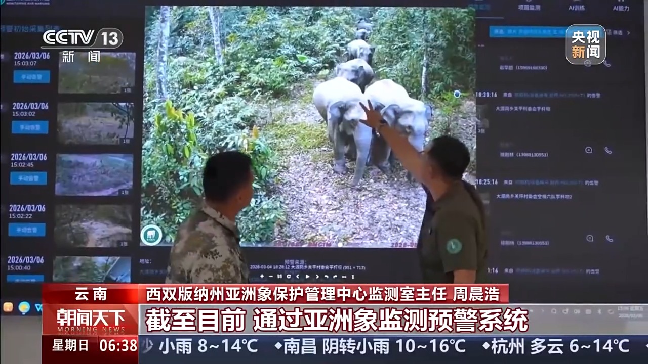 
安贞医院黄牛号贩子票贩子代网上预约代挂号电话保护野生动物不仅靠“情怀”更靠“机制” 多地交上答卷