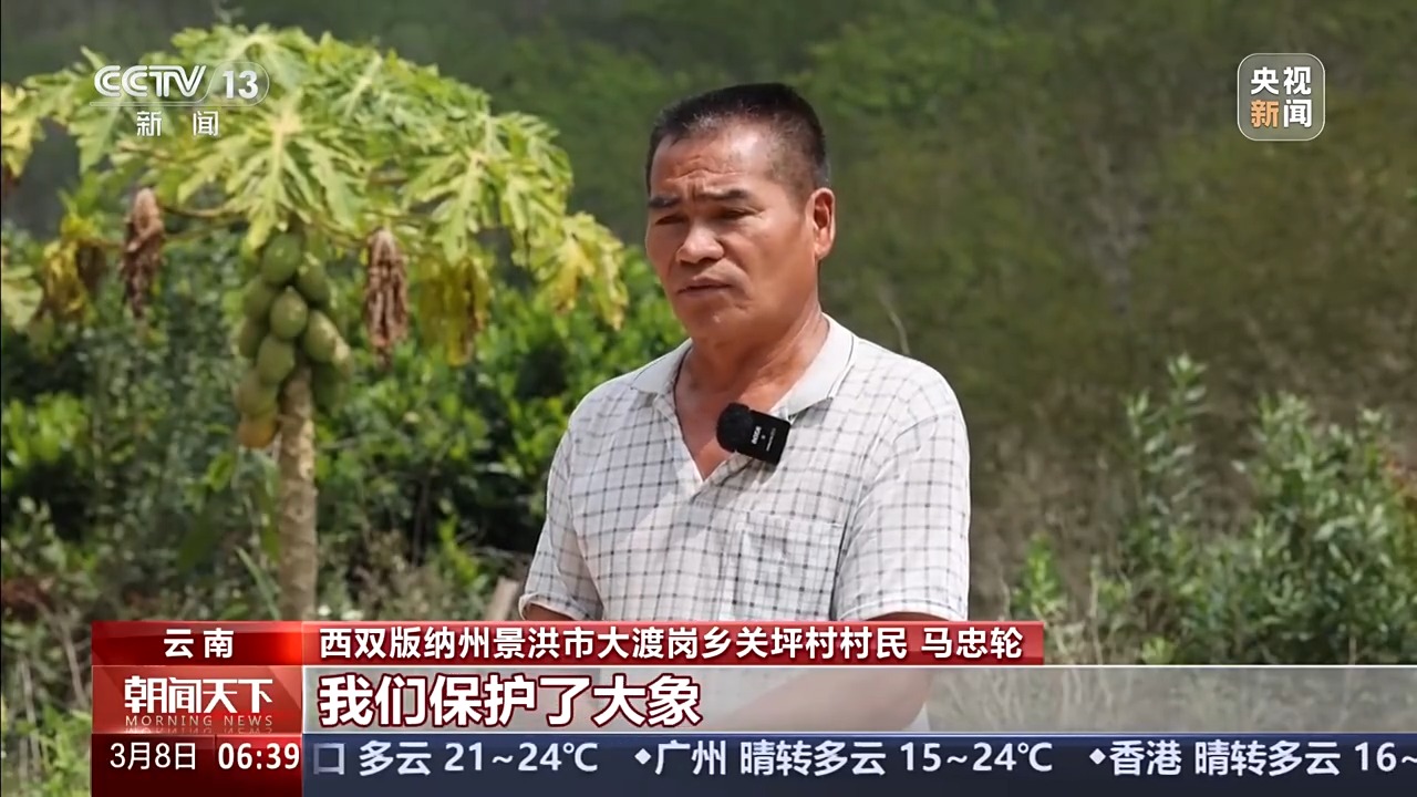 
安贞医院黄牛号贩子票贩子代网上预约代挂号电话保护野生动物不仅靠“情怀”更靠“机制” 多地交上答卷