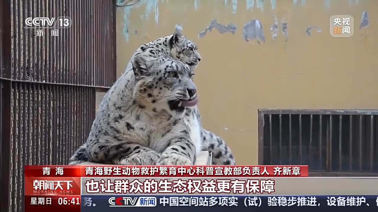 
安贞医院黄牛号贩子票贩子代网上预约代挂号电话保护野生动物不仅靠“情怀”更靠“机制” 多地交上答卷