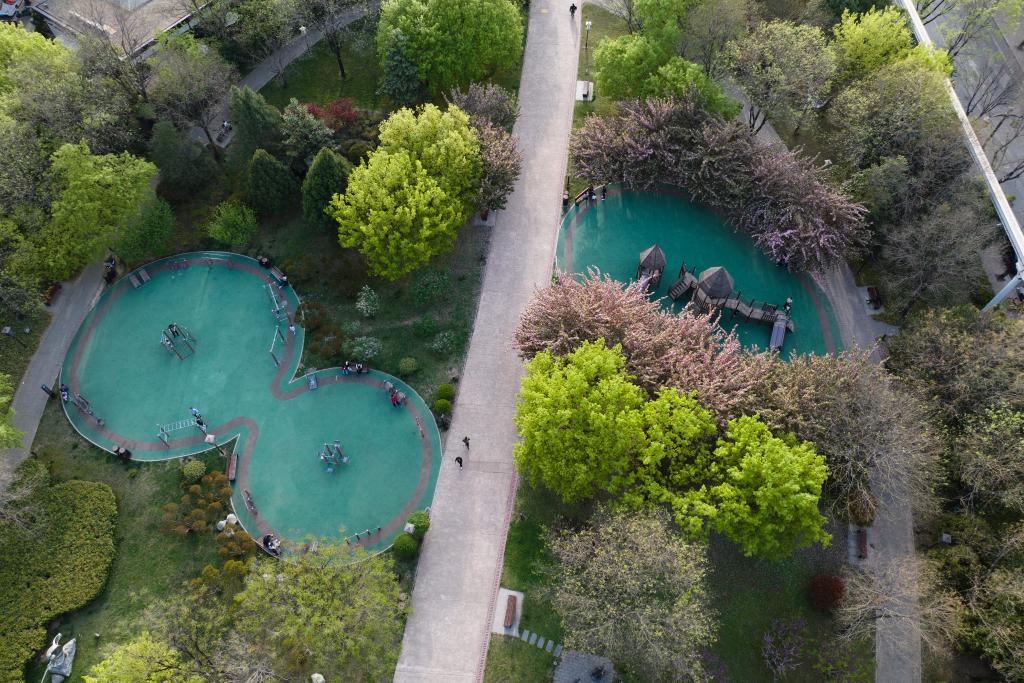 两会新华鲜报丨最严的法治，守护最美的山水