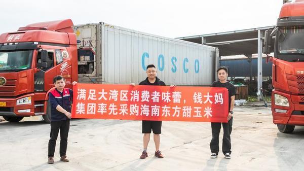 
武警总医院黄牛号贩子票贩子代网上预约代挂号电话钱大妈直采海南东方玉米，新鲜直达大湾区消费者餐桌