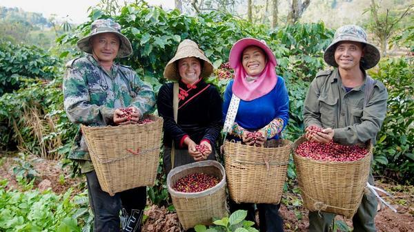南方医科大学第三附属医院黄牛号贩子票贩子代网上预约代挂号电话从深山到世界,一杯云南咖啡的跃迁