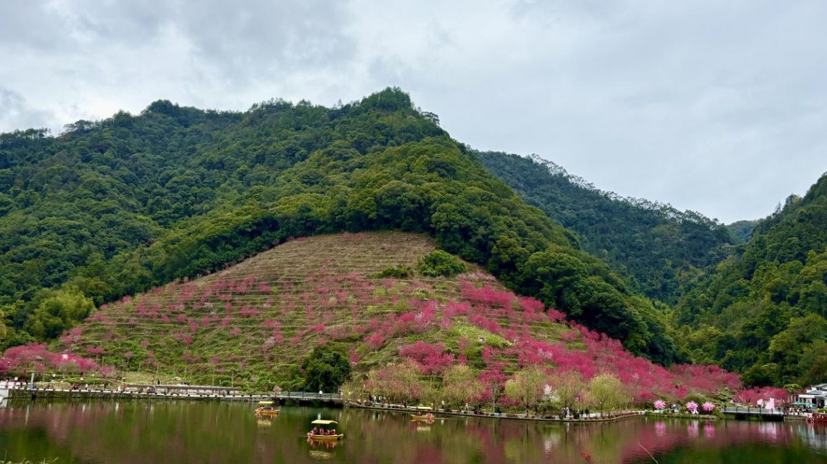 借力踏春引客流 泉州文旅消费掀起一股小热潮