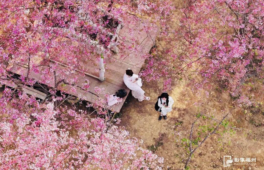 全国第二！福州跻身同程旅行2026春游胜地甄选榜单