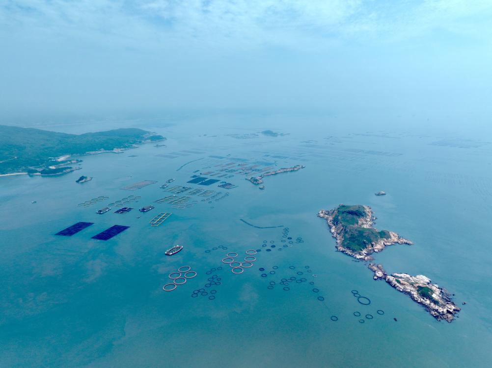 耕海牧渔、逐绿深蓝——中国“蓝色牧场”养殖全球56%水产品