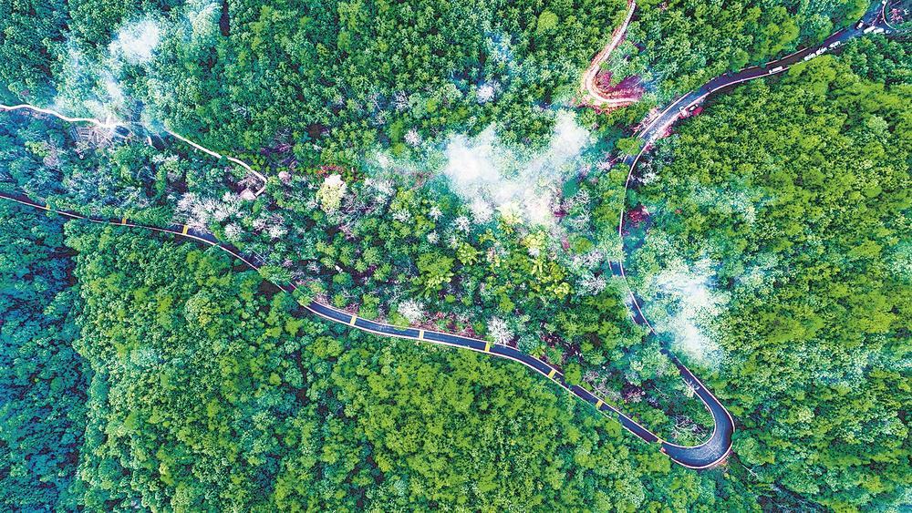 邵武:一条路如何激活山区文旅