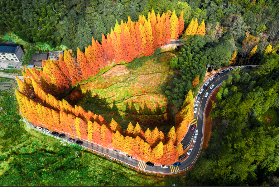 屏山君|“十五五”规划纲要公布,福建这样“落子”