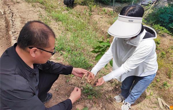 
四川成都华西医院黄牛挂号电话阳光财险：金融护航强保障 “数智”助农暖民生