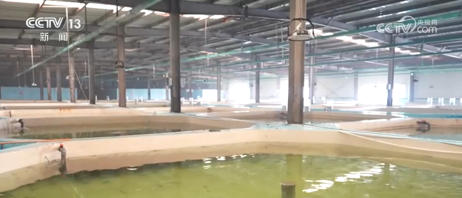 航天中心医院黄牛号贩子票贩子代网上预约代挂号电话硬核技术锻造“高精尖”产品 传统产业加速向“智”向“绿”玩出新组合